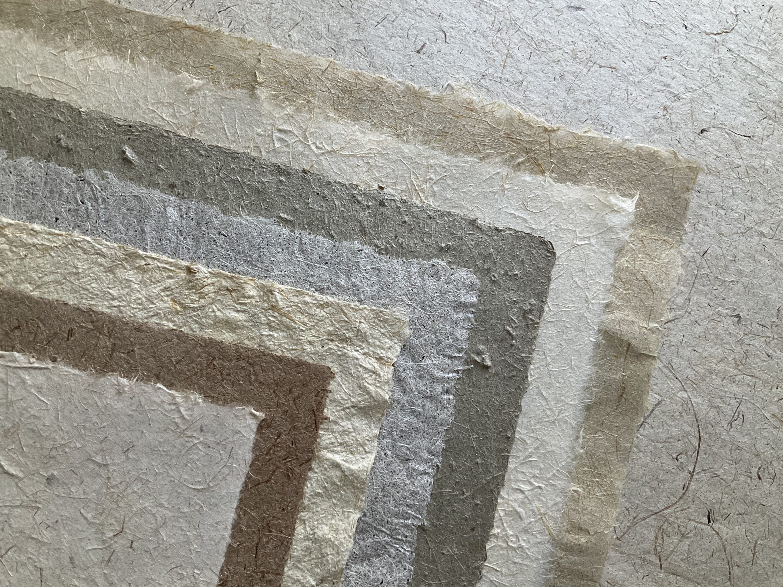 Plant Fibre Papermaking